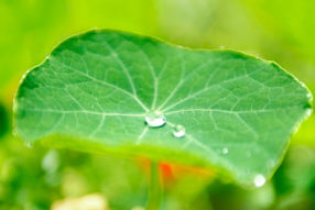 Reportage édito#3 AurélieChoiral