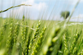 Reportage édito#4 AurélieChoiral