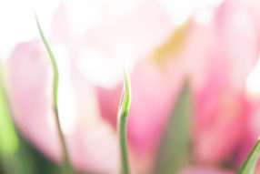 Reportage édito#14 AurélieChoiral