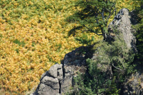 Reportage édito#27 AurélieChoiral