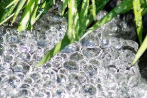 Reportage édito#5 AurélieChoiral