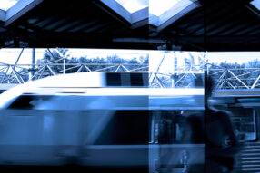 Photos Illustration #36 Aurélie Choiral