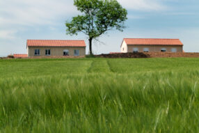 Illustration Corporate France Reportage Corporate #23 Aurélie Choiral