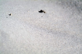 EPANI France Reportage Architecture#74 Aurélie Choiral